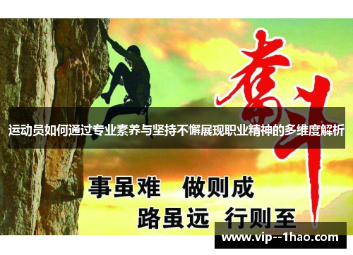 运动员如何通过专业素养与坚持不懈展现职业精神的多维度解析