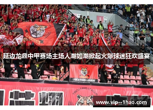 延边龙鼎中甲赛场主场人潮如潮掀起火爆球迷狂欢盛宴